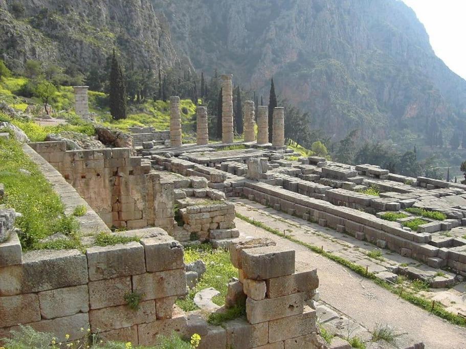 House In Delphi Βίλα Εξωτερικό φωτογραφία